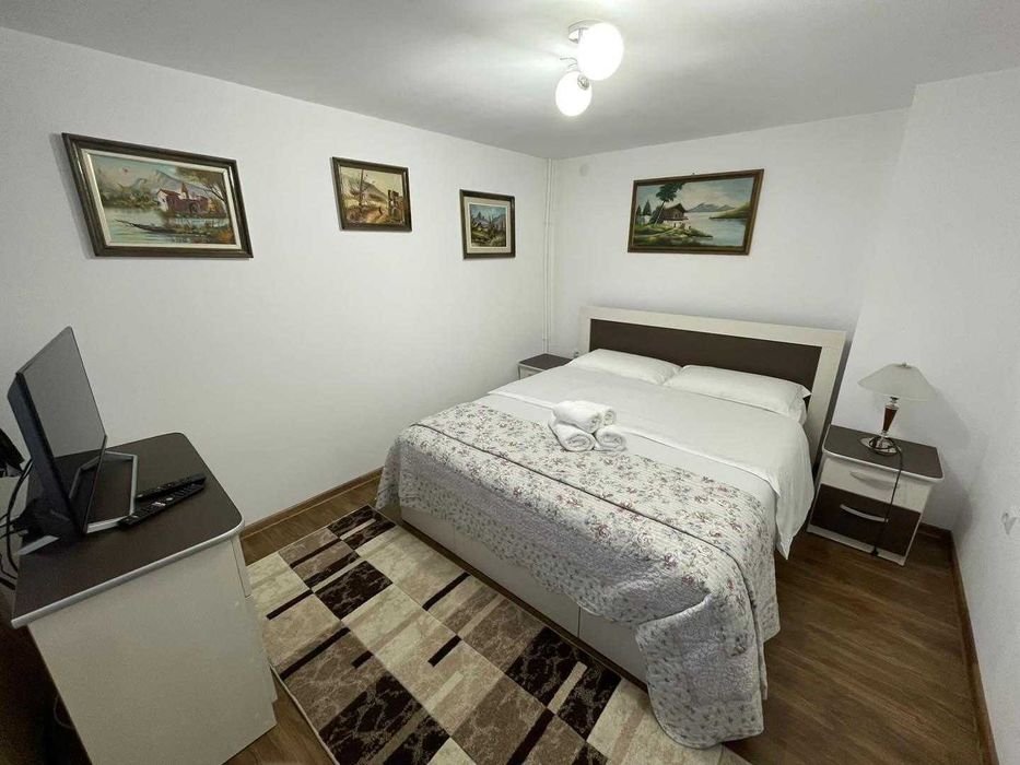 Cabană P+E+M mobilată, foișor, teren 15.000 mp – Vama, Bucovina