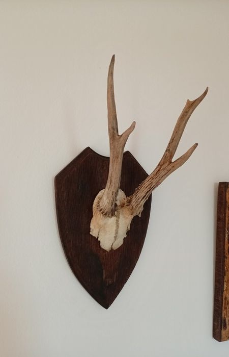 Decorațiune de perete