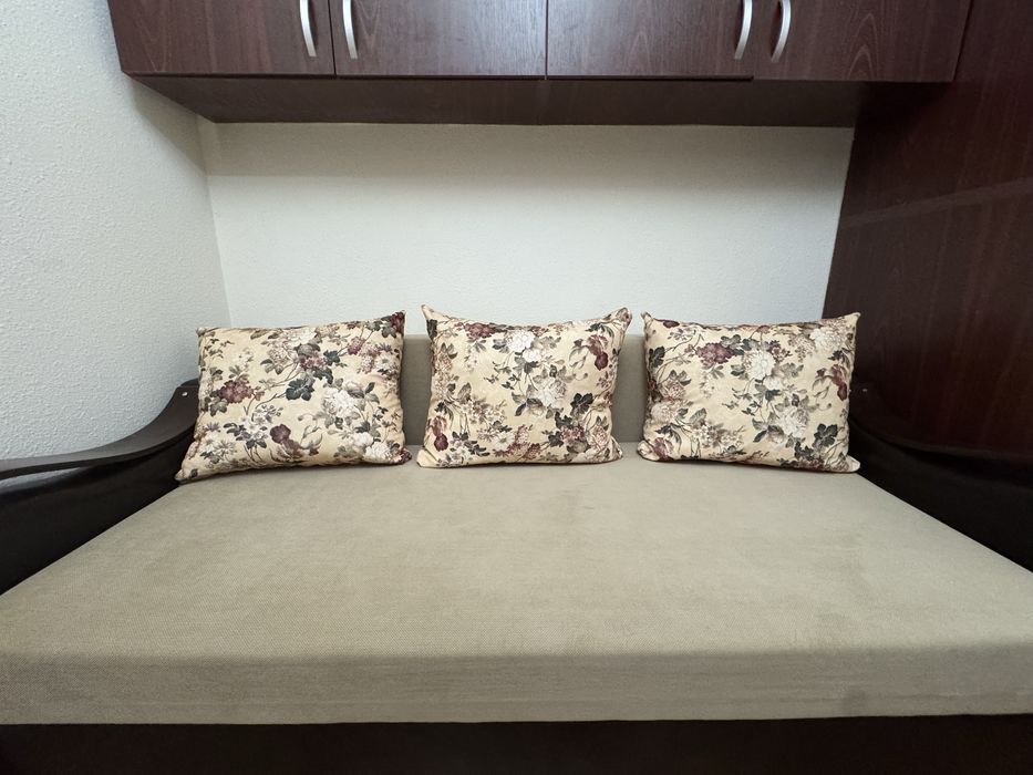 Canapea extensibilă în stare excelentă