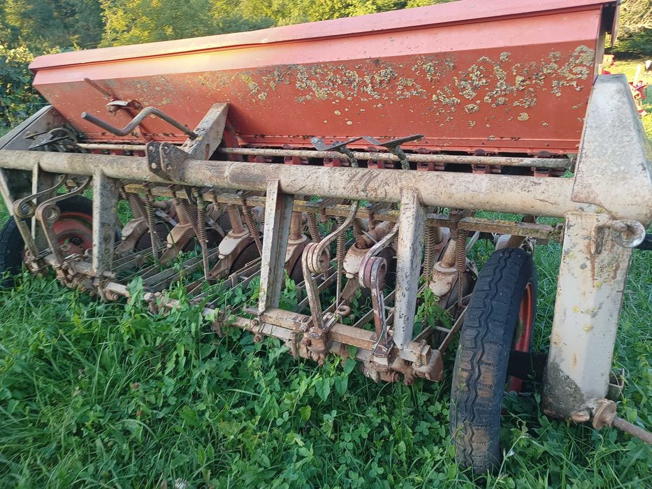 Semanatoare paioase pe discuri