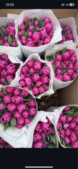 Тюльпаны (букеты от 35 шт)