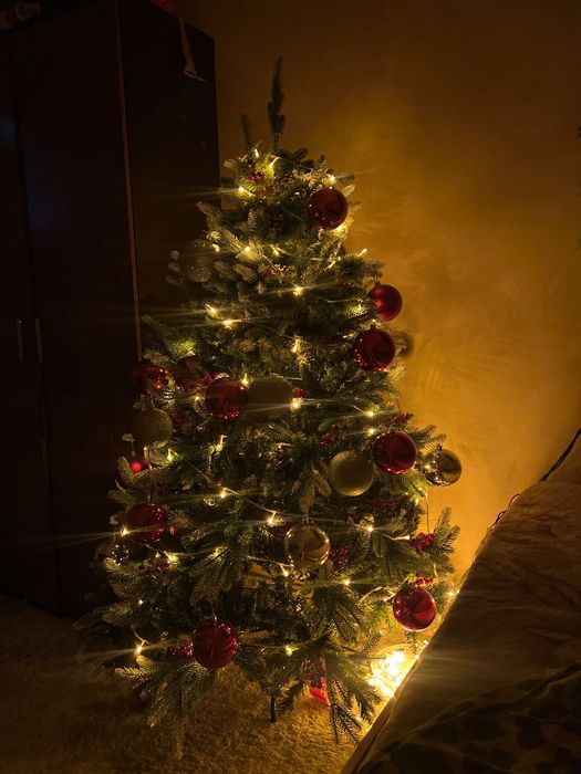 Ёлка на новый год