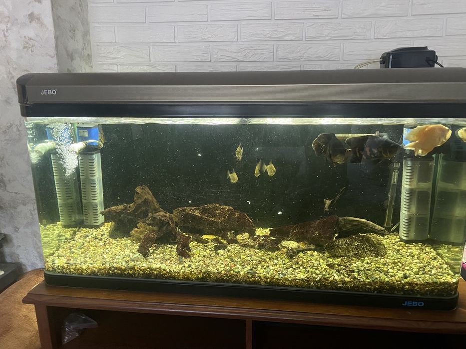 Продам аквариум Jebo 300л