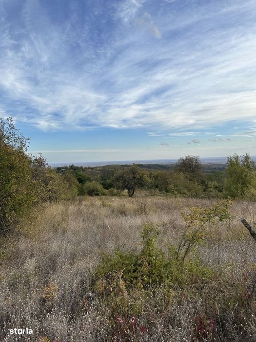 Teren intravilan 5246 mp – Malu Rosu, Ceptura – acces drum principal