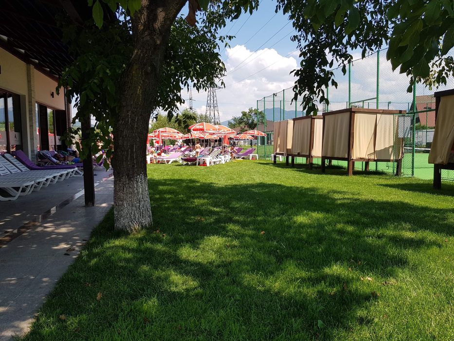 Cabana de inchiriat cu piscina, langa Colibita! !