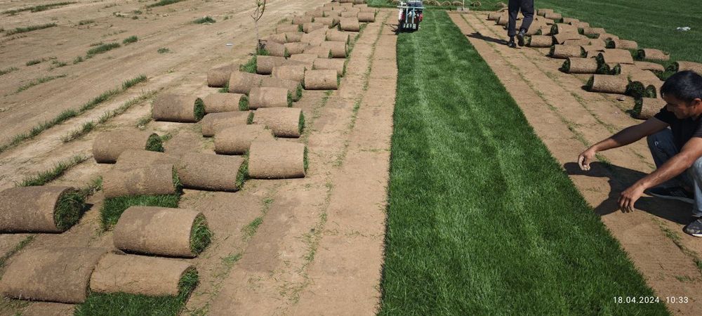 Газоны рулонные, поливная система, ландшафтный дизайн