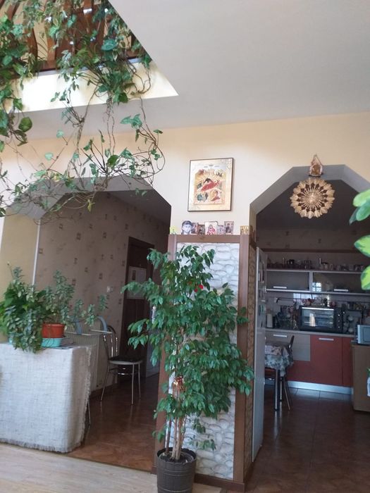 Vând Casă +Grădină în Năsăud