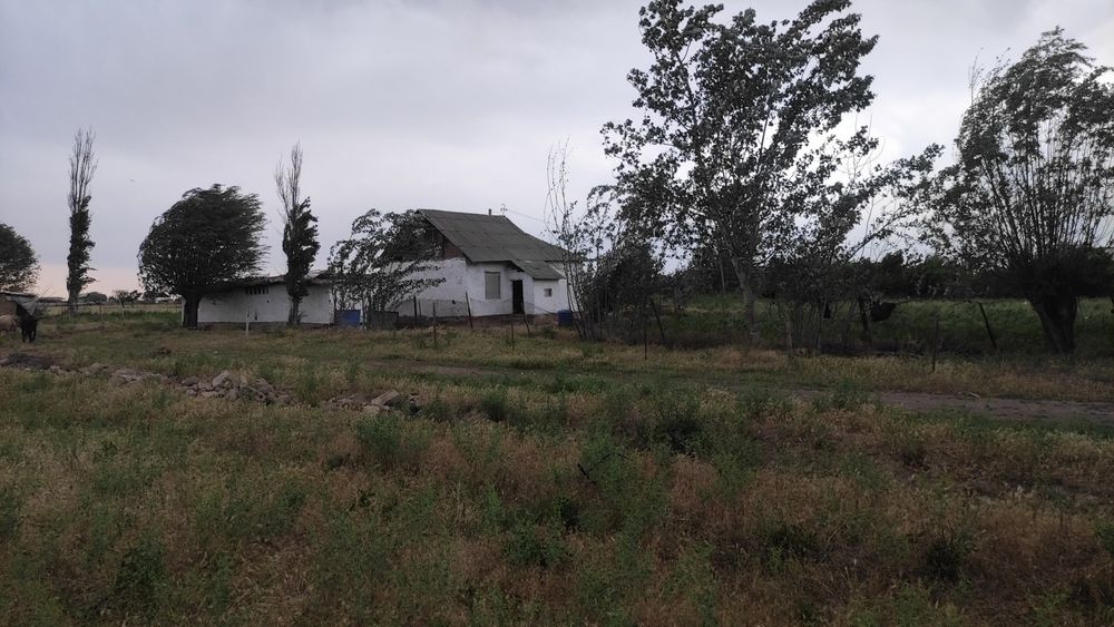 Продаю свой дом...