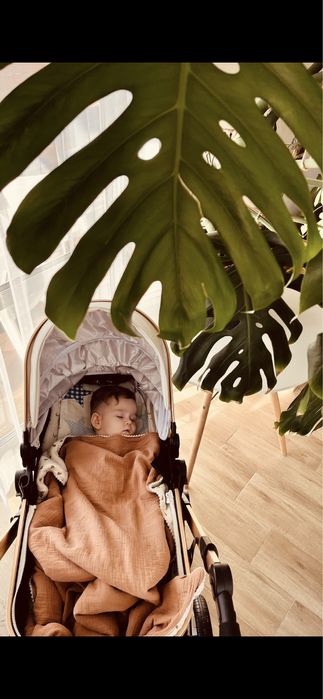 Детская коляска + автолюлька