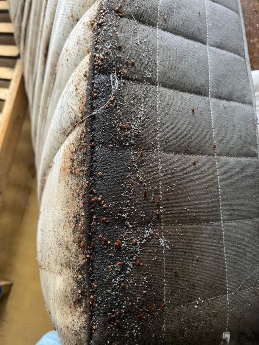 «Нання» порнографиялық фильмі (орысша аудармасы)