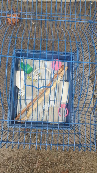 Продам домик для попугая