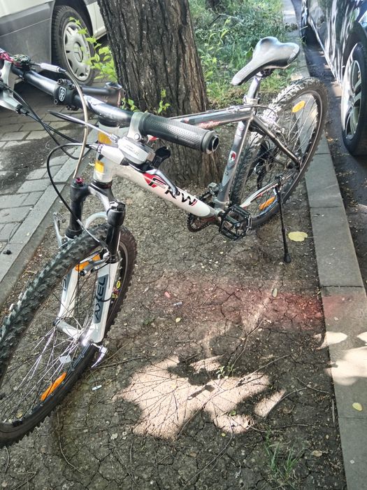 Bicicleta Frw bigbear
