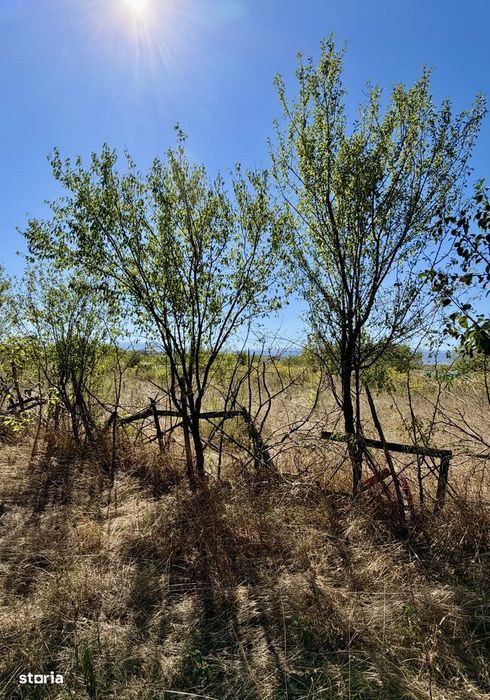 Vânzare teren intravilan 4.000 mp – Sibiu, zona Câmpșor (UTR U09 / L4)