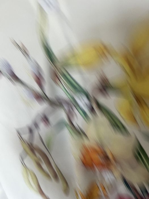 Дамска риза