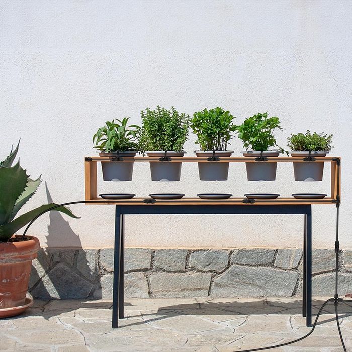 Комплект 40бр Т образни дюзи за капково напояване за 1/4" маркуч