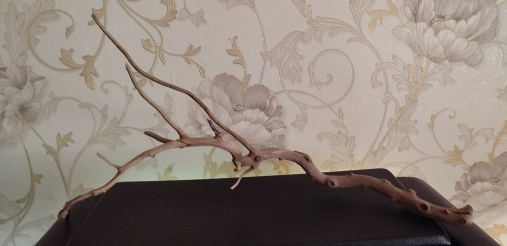 Коряги для аквариума.