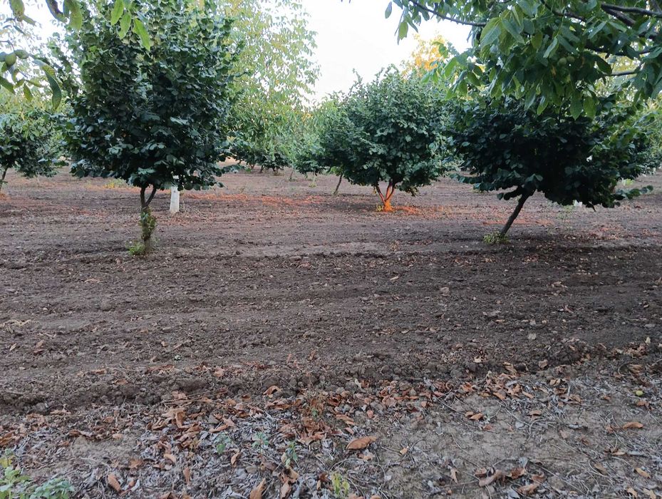 Продава се Земеделски имот в Генерал Тошево -  кв.м за 4 €/дка - Снимка #2