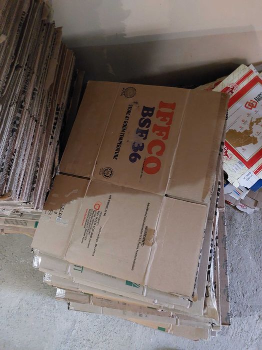 Karobkalar bor 3200 sum donasi