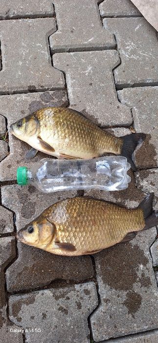 Зона отдыха ÖZEN в Косшы