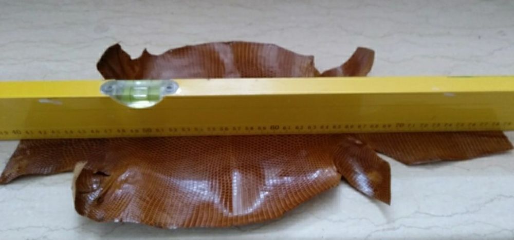 Piei pentru pantofi, genti si crose golf