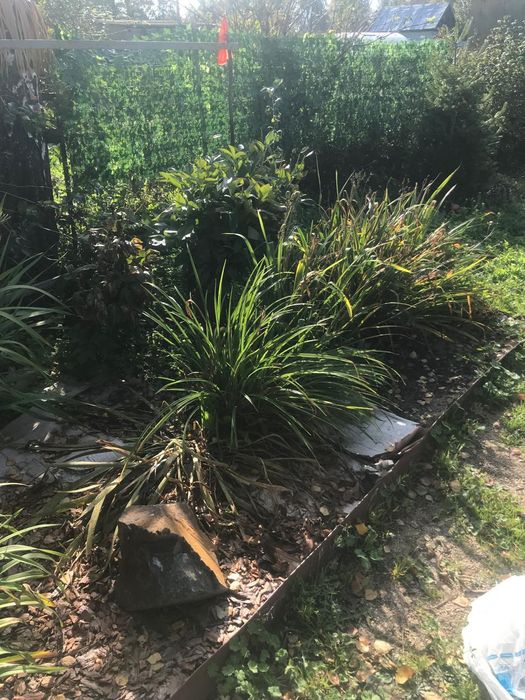 Дача с/т "Ёлочка" п. Солнечный