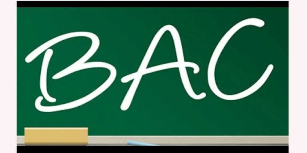 Materiale Bac Romana