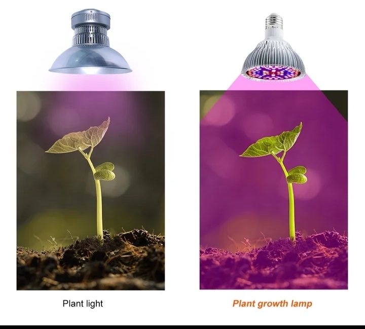 Лампы для растений