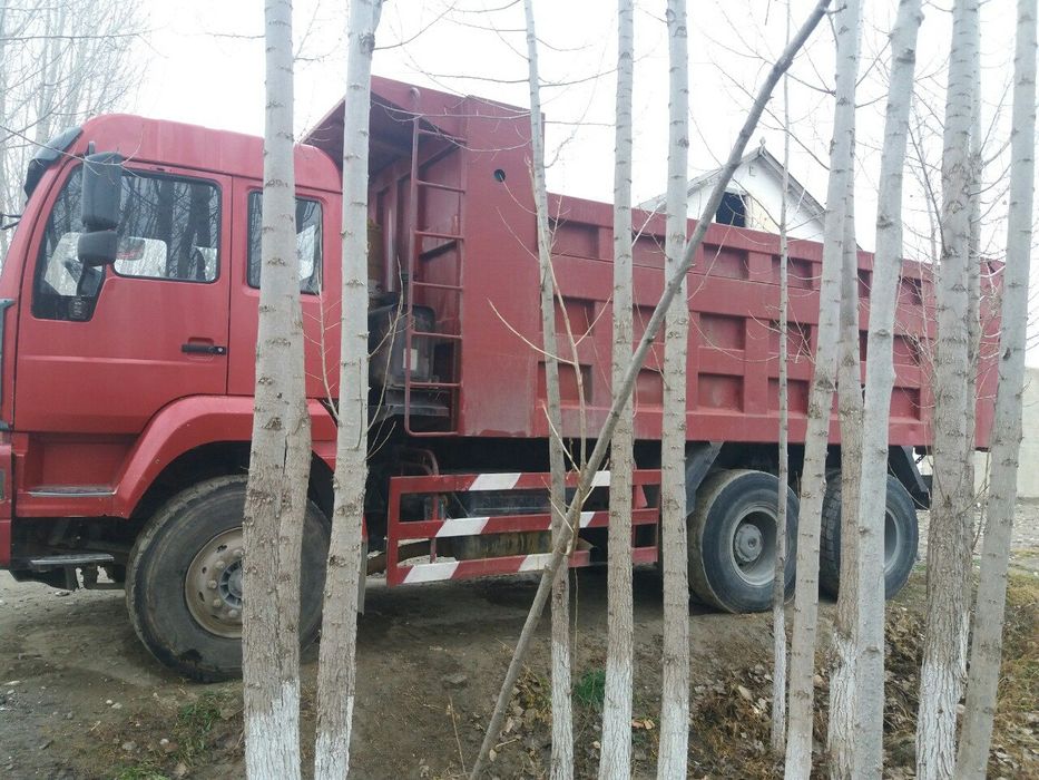 Jak sinoturk sotiladi