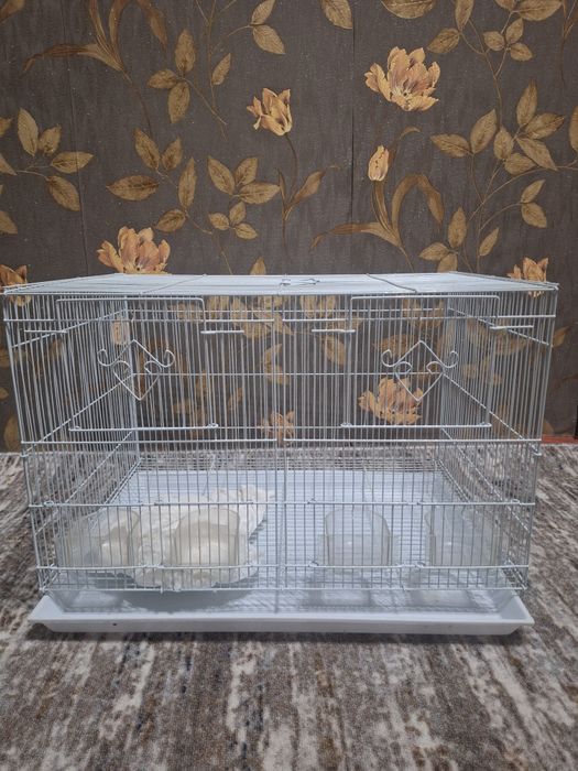 Карелла дубайски поющий пара