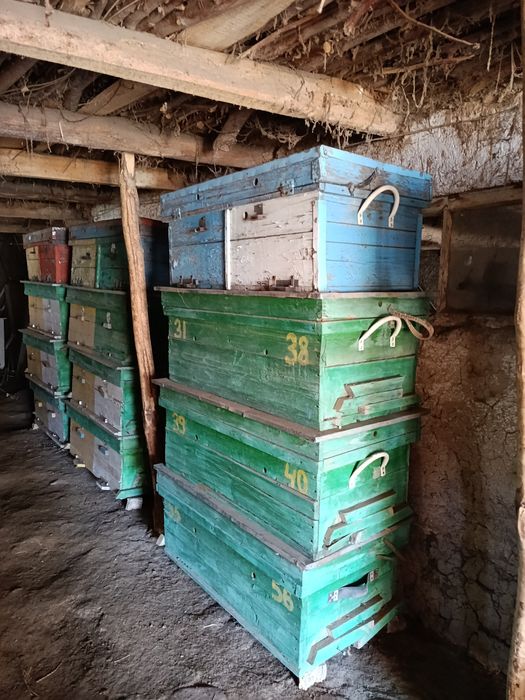 Asalari yashiklari komplekt