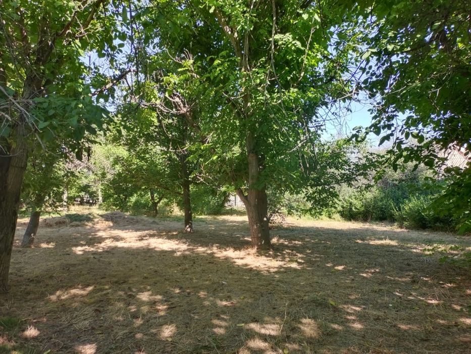 Продам дом с участком