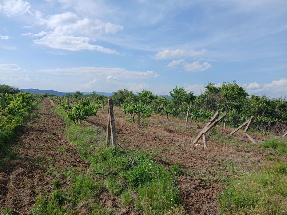 Продава се Земеделски имот в с. Карабунар, Област Пазарджик -  кв.м за 2 €/дка - Снимка #8