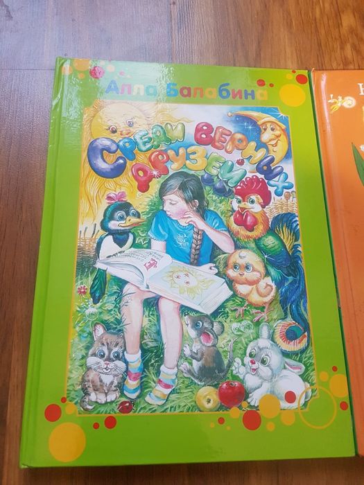 Книги стихи и сказки.
