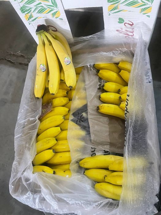 Banan bor optom 18mingdan