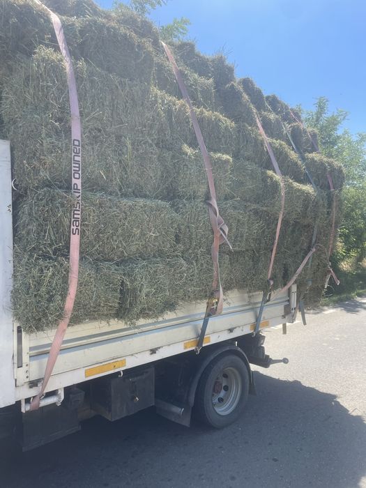 Baloti lucerna COASA 4 verde marunta