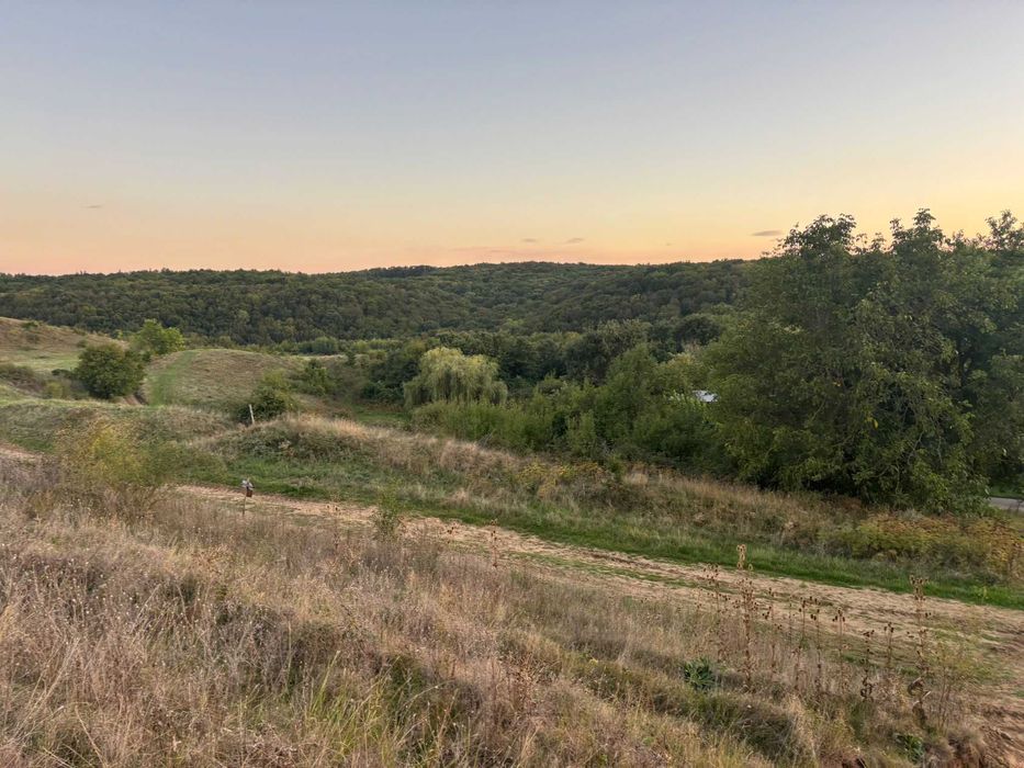 Vand teren intravilan in Betfia 992 mp