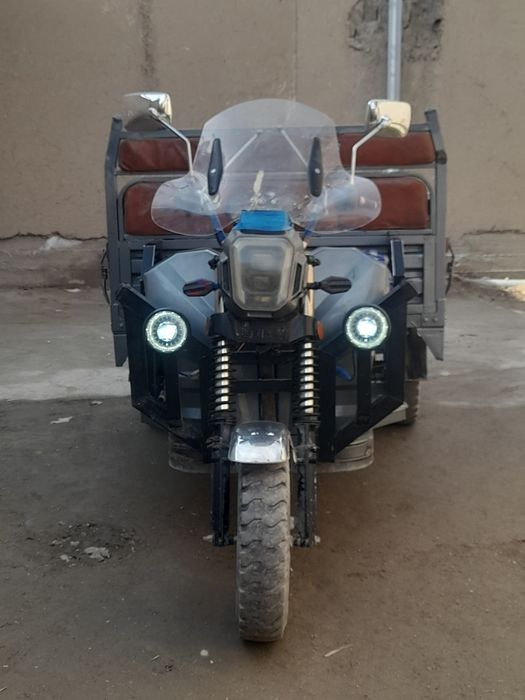 Продается муравей