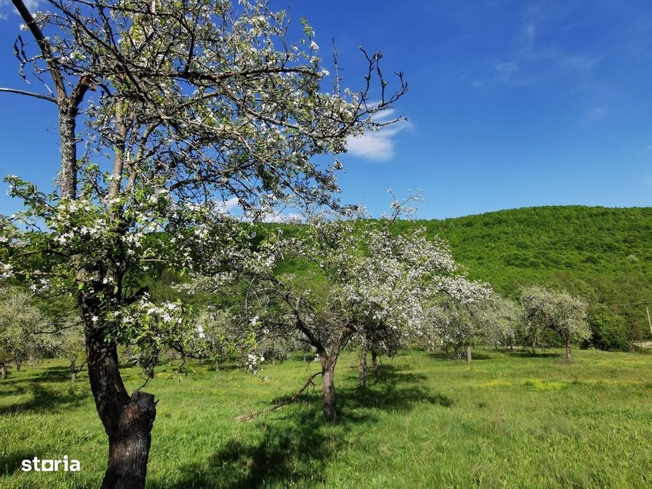 Teren de Vânzare, Budeasa Mica – Potrivit pentru Casă de Vacanță sau I