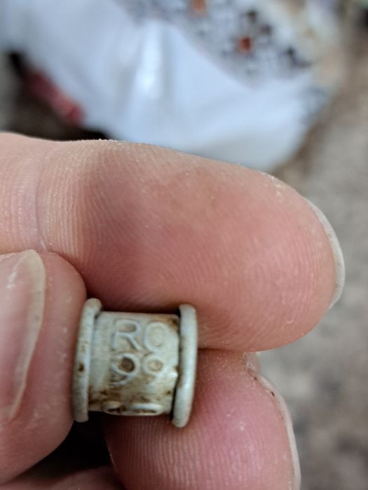 Inele porumbei diverși ani