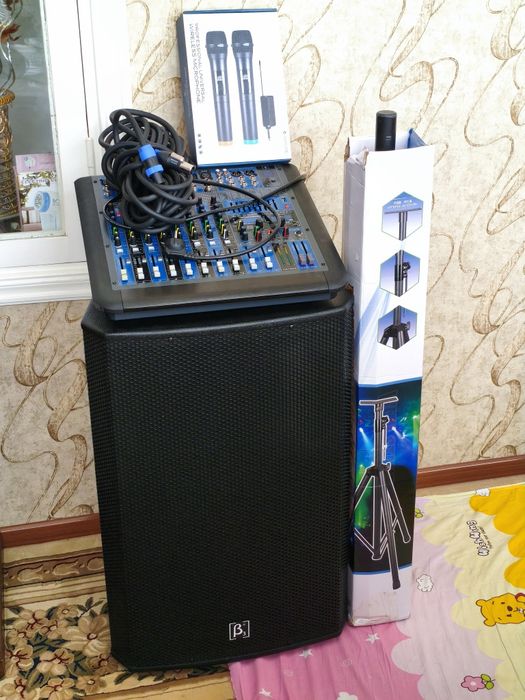 Kalonka usilitel mikrafon stoyka kabel full