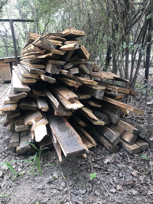 Половой агаш, страпила