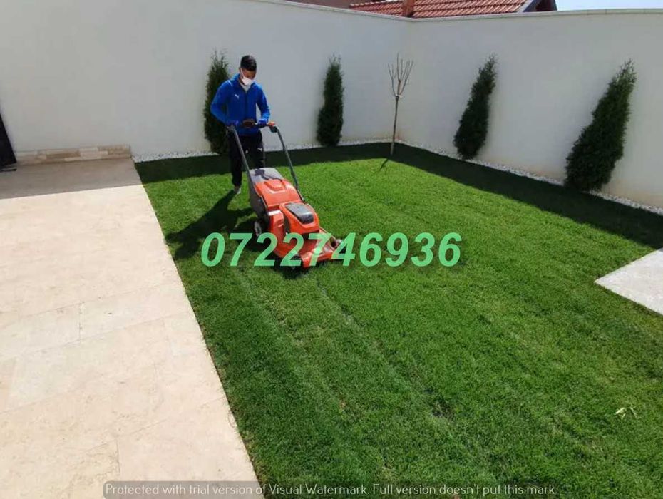 Gazon Natural Rezistent pentru Amenajări Exterioare