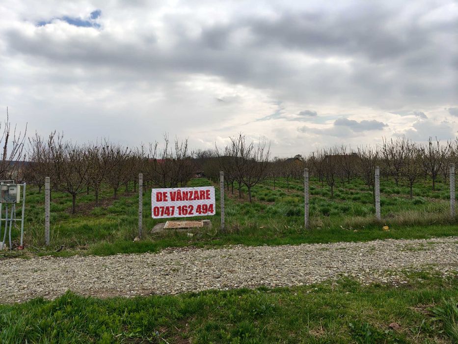 Teren de vanzare sat Madarjesti (com Baltati)