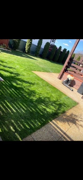 Cosesc iarbă mare, curăț curți și defrișez terenuri – judetul Arges și împrejurimi.   Motocoasă puternică, drujbă, autoutilitară pentru transport.