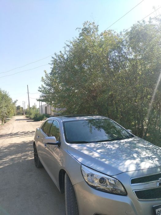 malibu 1  srochna