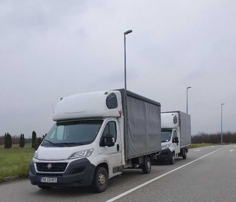 Transport debarasari mutari relocari case birouri hale Timisoara Giroc