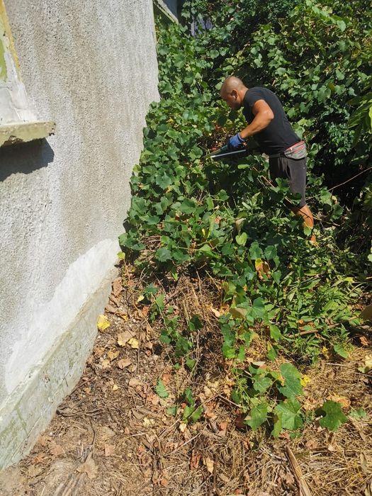 Подръжка, (Чистене) на Дворове