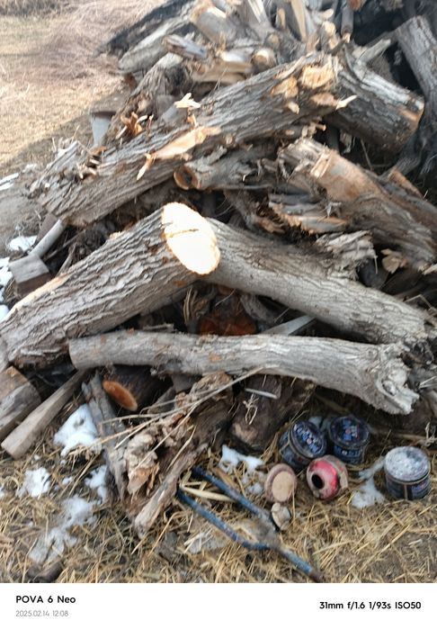 Oʻtin sotiladi Buxoro