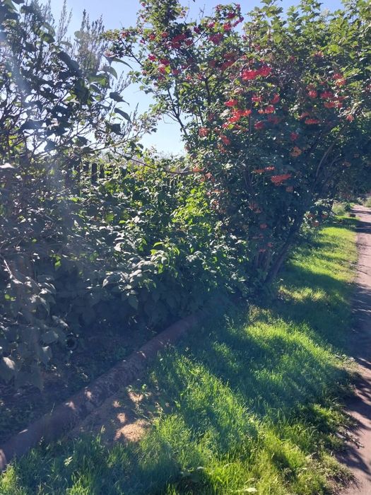 Продам дачу 7 соток