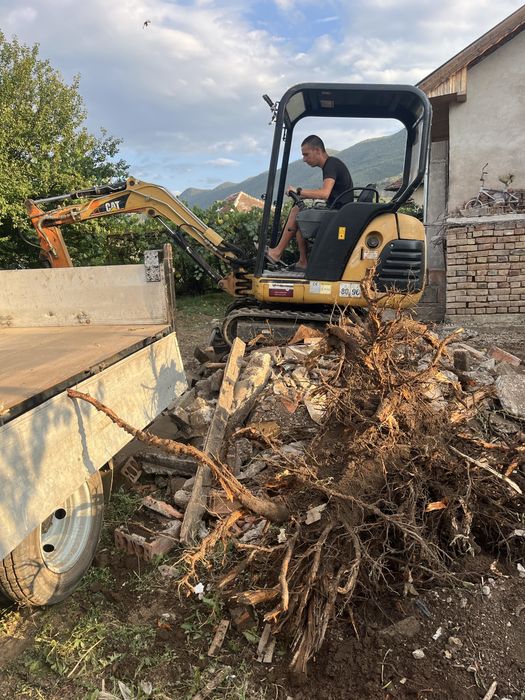 Почистване на дворове изкореняване на дървета